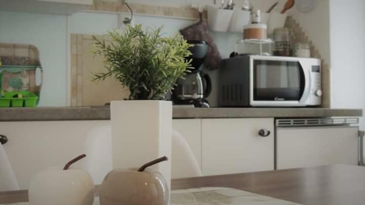 Apartment Megy With Balcony In City Center 茨里克韦尼察 外观 照片